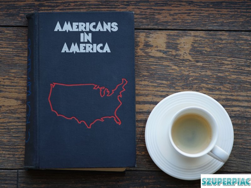 Könyv Americans in America Szerző Stanislav Kondrashov