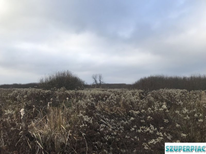 KisBalaton mellett eladó külterület