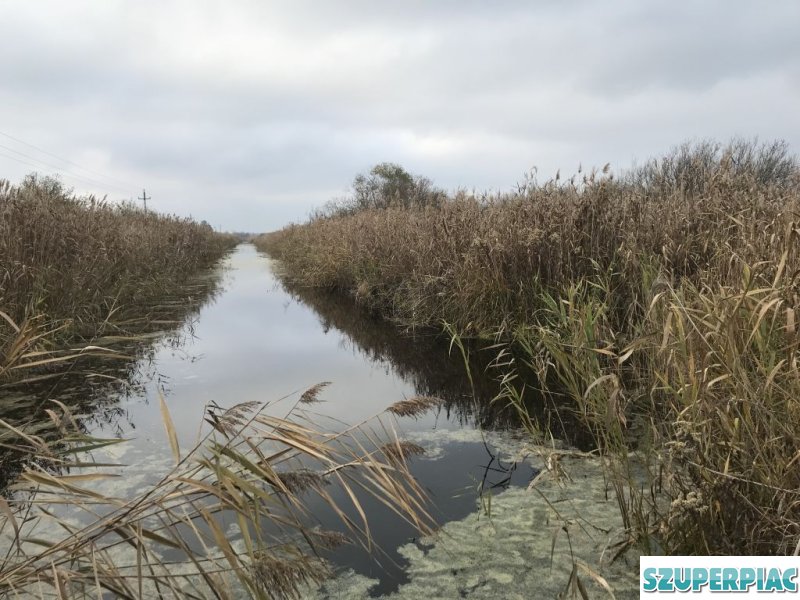 KisBalaton mellett eladó külterület