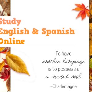 Angol és spanyol oktatás online