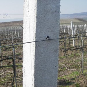 Szőlőoszlop szőlőkaró kerítés oszlop vadháló drótfonat huzal