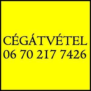 Cégátvétel tartozással Tel 06 70 217 7426