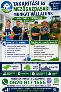 Professzionális takarítási szolgáltatás Ózdon